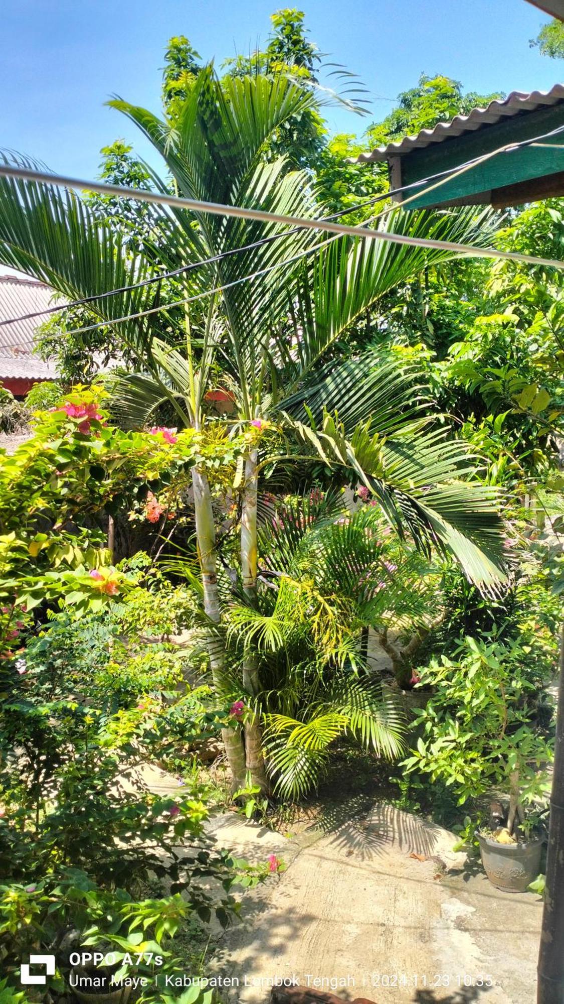 Nadil Homestay Kuta  外观 照片
